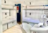 A clean and organized hostel room with two white bunk beds labeled with numbers 1 to 4, storage drawers below, a small table with two chairs, and a white fan. The door is open, showing a blue door with a fire escape plan.
